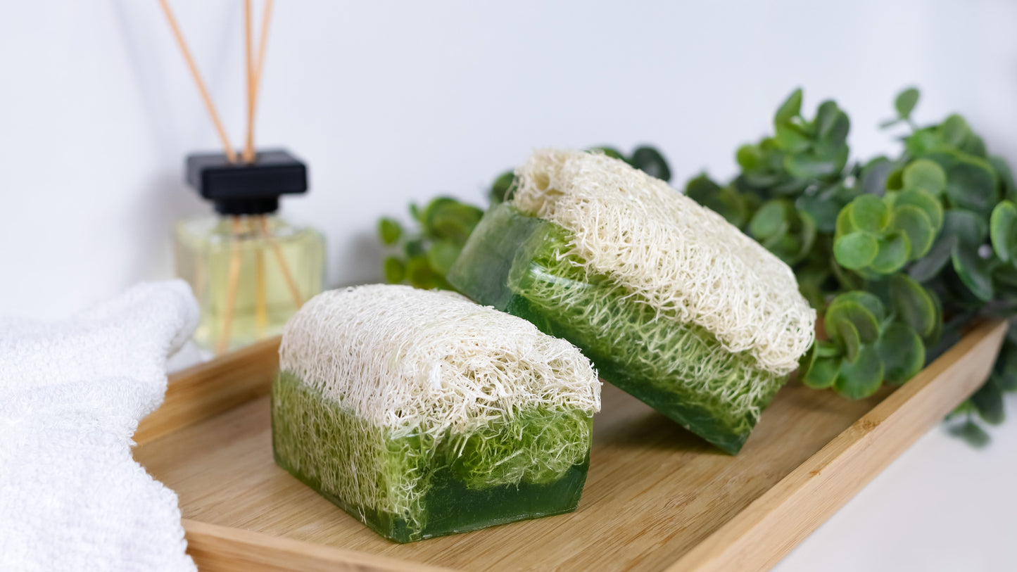 Luffa-Seife mit Aloe Vera