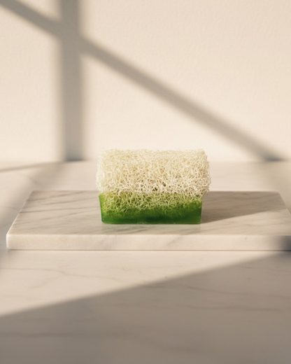 Luffa-Seife mit Aloe Vera – Feuchtigkeit & Beruhigung für empfindliche Haut